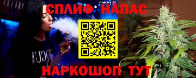 сатива Краснознаменск