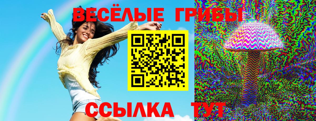 Псилоцибиновые грибы Psilocybe Фурманов